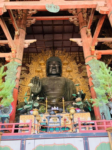 Private Nara Tour from Osaka – Meet at Your Hotel - Price and Value: Is $514 Worth It for a Private Nara Tour?