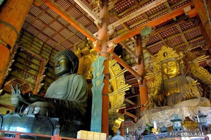 Private Tour Kyoto-Nara w/Hotel Pick Up & Drop off from Kyoto - Fushimi Inari Taisha: one of the best “walk and breathe” experiences