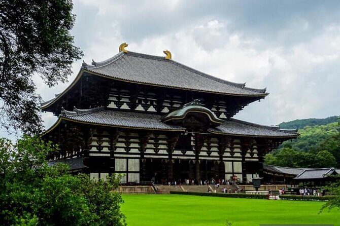 Private Tour Kyoto-Nara w/Hotel Pick Up & Drop off from Kyoto - Lunch and missing costs: what you need to plan for