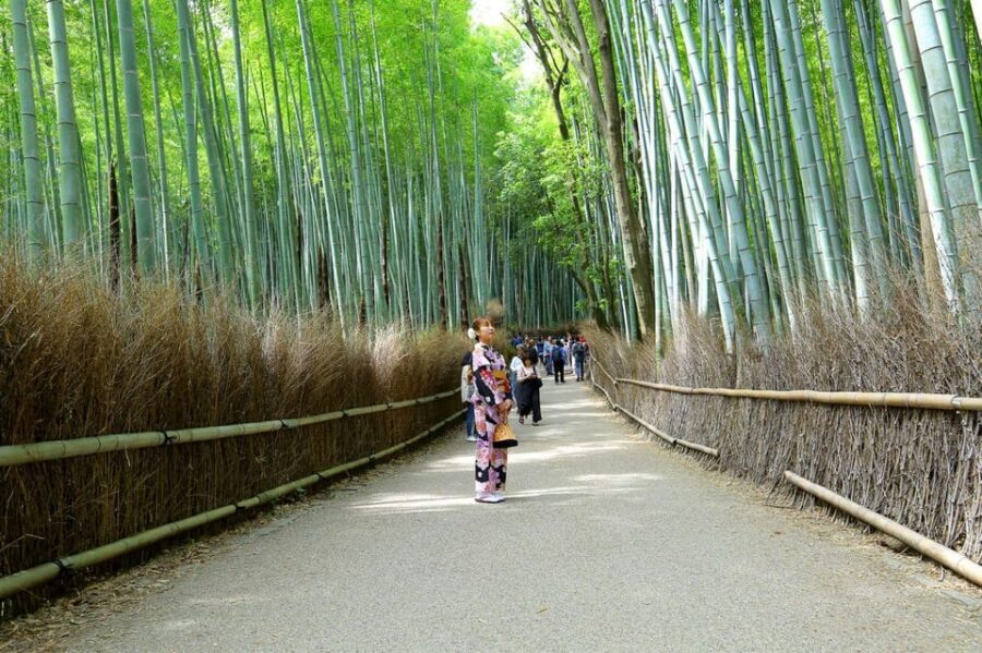 Private Tour to Monkey Park and Arashiyama Highlights - What to Bring, Wear, and Know (So You Don’t Have a Bad Day)