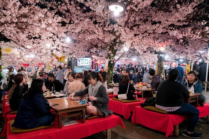 Private & Unique Kyoto Cherry Blossom "Sakura" Experience - The Picnic Moment: Hanami Under the Cherry Canopy