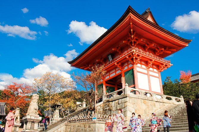 Private & Unique Kyoto Cherry Blossom "Sakura" Experience - Who This Private Tour Works Best For