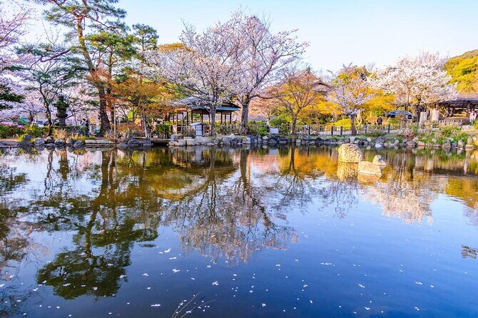 Private & Unique Kyoto Cherry Blossom "Sakura" Experience - Maruyama Park: Hanami Calm in a Famous Place