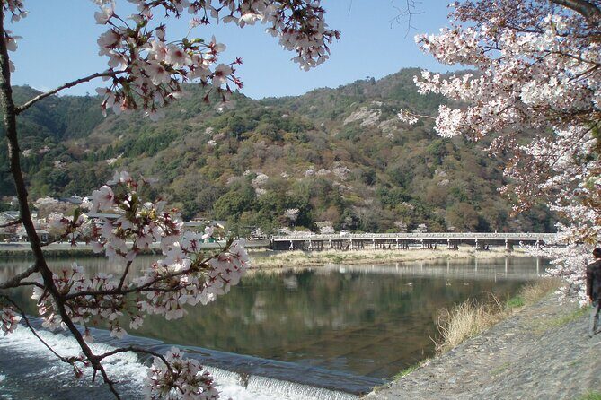 Private Walking Tour in Bamboo Forest & Hidden Spots in Arashiyama - Price and timing: what $85.87 buys you