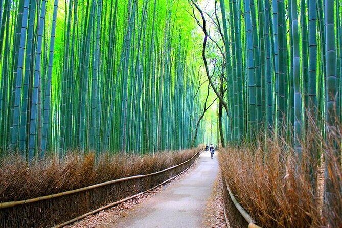 Private Walking Tour in Bamboo Forest & Hidden Spots in Arashiyama - The flow of the 4-hour walk (and why the order helps)