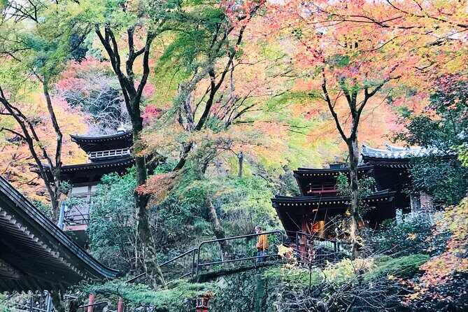 Private Walking Tour in Bamboo Forest & Hidden Spots in Arashiyama - Meeting point and end point: easy to plug into a Kyoto day