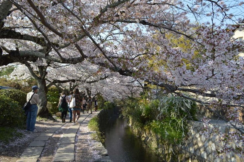 Sacred Pathways: Discover the Philosopher's Path of Kyoto - The stream-and-moss feeling: what the walk does to your brain