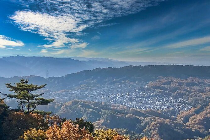 Sacred Peak and Scenic View Hieizan Enryaku ji and Hiyoshi Shrine - Pacing and what to expect walking-wise