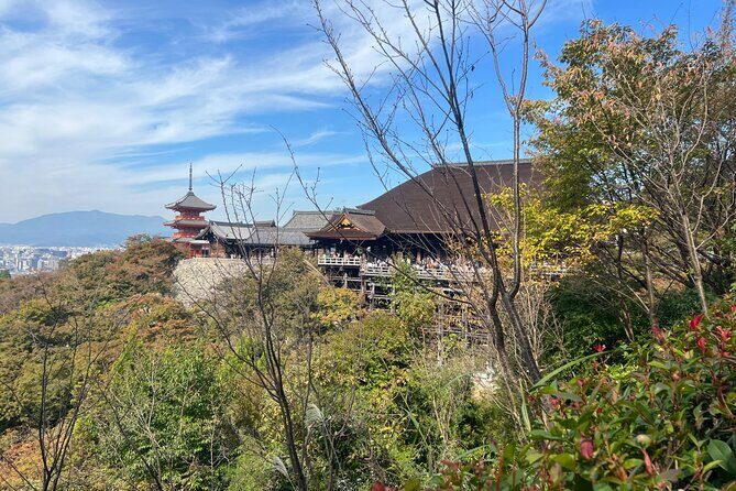 Sacred Treasure Fushimi Inari and Kiyomizu Dera Tour - Price and Value: Why $30 Can Make Sense