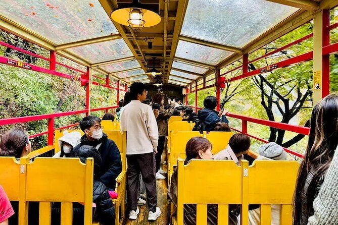 Sagano Romantic Train Ticket - Small-Group Reality: Max 8 People Per Reservation