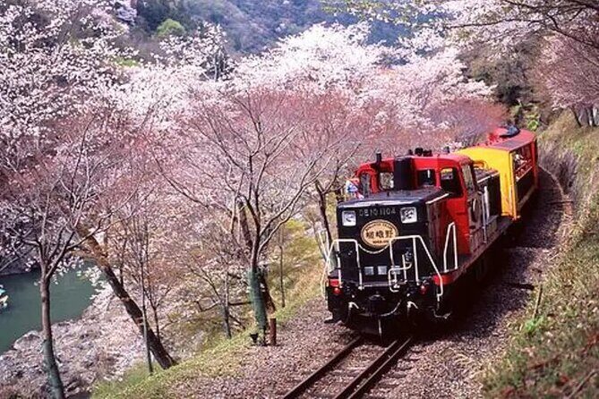 Sagano Romantic Train Ticket - The 25–30 Minute Hozugawa River Valley Ride (7.3 km of Seasonal Views)