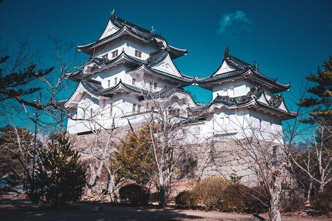 Secrets of Ninjas X Samurais: Private History Tour to Iga & Koka - Why Iga and Koka Feel Like the Core of the Ninja Story