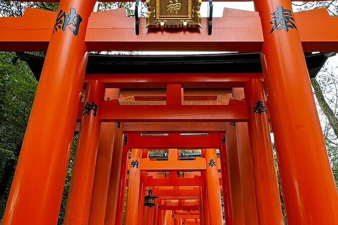 Single- & multi-day Adventures within Kyoto Nara Osaka Kobe - Why a private Kyoto–Nara–Osaka–Kobe day beats shared buses