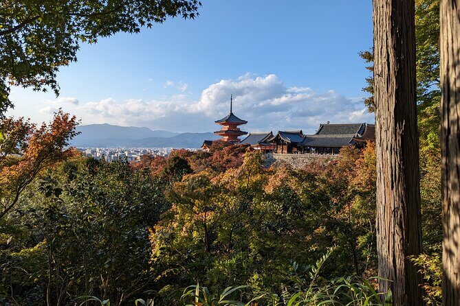 Tour in Kyoto with a Goverment Certified Tour Guide - Kyoto in One Day: Is This Route Smart?