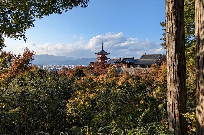 Tour in Kyoto with a Goverment Certified Tour Guide - Golden Pavilion to Silver Pavilion: Two Temples, One Pace