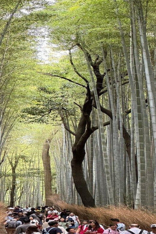 Treasures of Kyoto: Gion & historical Walking Tour - Yasaka Shrine, Shijō-dori, and Kyōto Minami-za: finishing with momentum