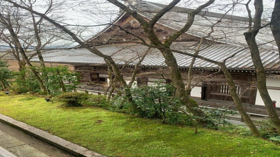 Treasures of Kyoto: Gion & historical Walking Tour - What I think you gain from a private or small-group guide
